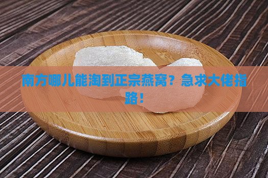 南方哪里可以买到燕窝