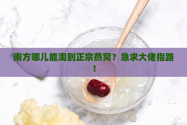 南方哪里可以买到燕窝