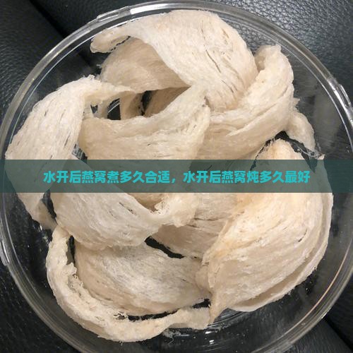 水开后燕窝煮多久合适