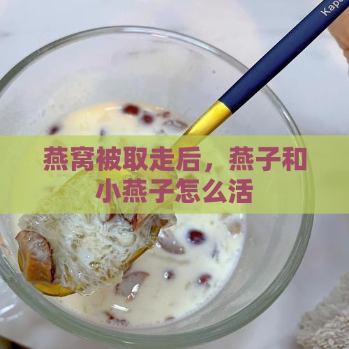 燕窝拿走后燕子怎么活
