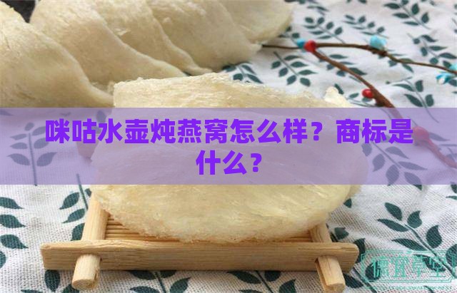 咪咕水壶炖燕窝怎么样