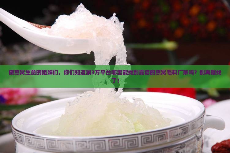 燕窝批发毛料厂家在哪里
