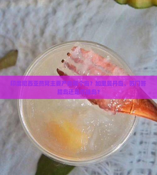 印度尼西亚燕窝在什么岛