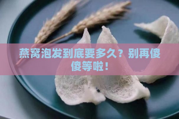 正典燕窝泡发时间多久