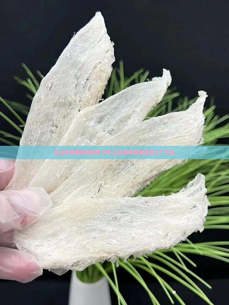 在山东哪里买到燕窝了呀