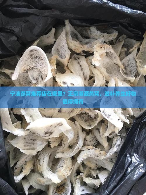 宁波燕窝推荐店在哪里