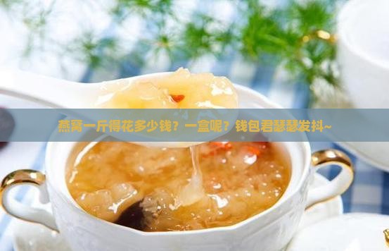 燕窝价格一盒多少钱一斤