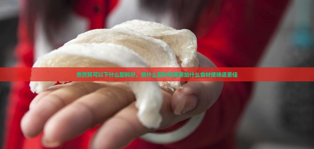 煮燕窝可以下什么配料好
