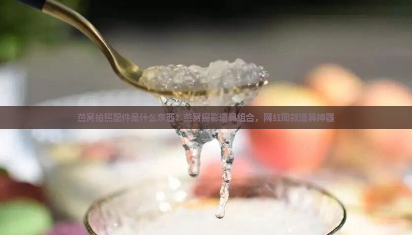 燕窝拍照配件是什么东西