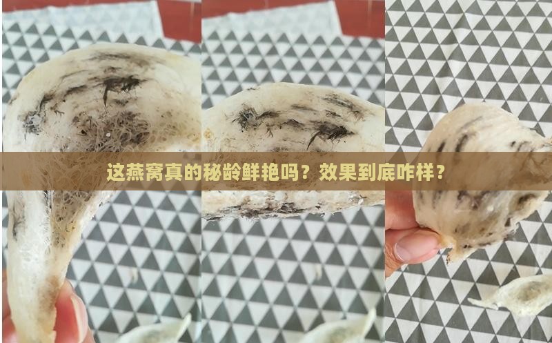 秘龄鲜艳的燕窝怎么样