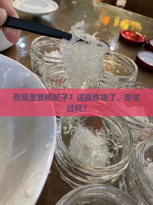 燕窝如何放枸杞子好呢