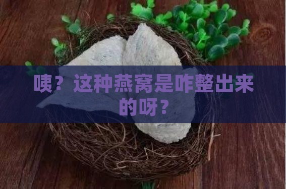 这种燕窝是怎么出现的