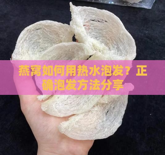 燕窝热水能泡吗怎么泡的