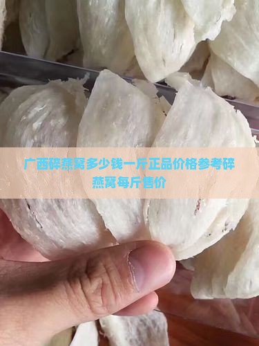 广西碎燕窝多少钱一斤