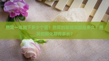 燕窝一年能下多少个蛋啊
