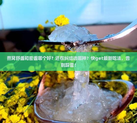燕窝舒盏和密盏哪个好