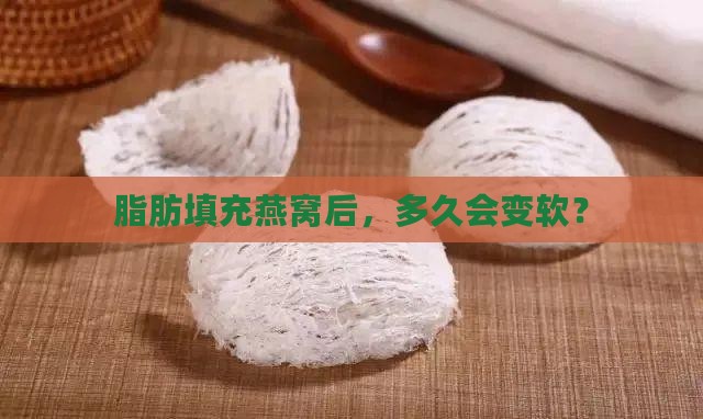 燕窝填充脂肪多久会变软