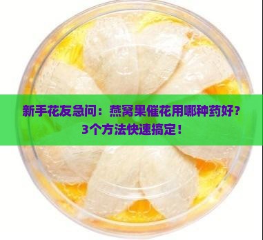 燕窝果催花用什么药好