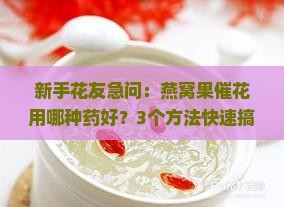 燕窝果催花用什么药好