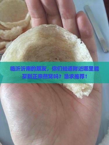 临沂沂南哪里有卖燕窝的