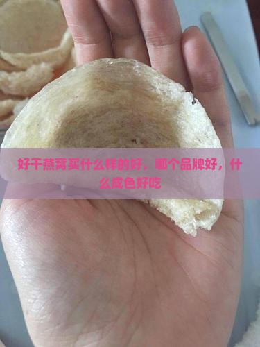 好干燕窝买什么样的好