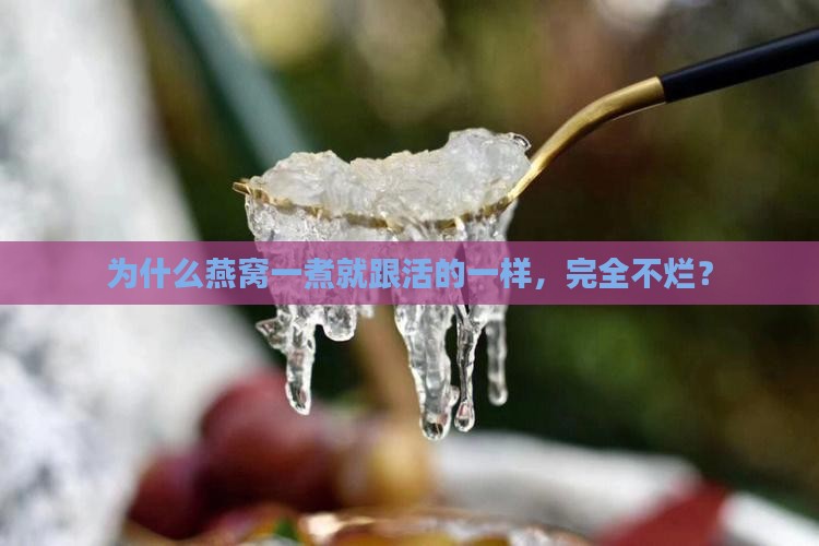 为什么燕窝煮后不会烂掉