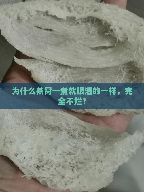 为什么燕窝煮后不会烂掉
