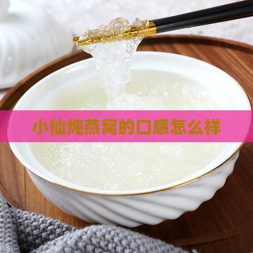 小仙炖燕窝盘子怎么样