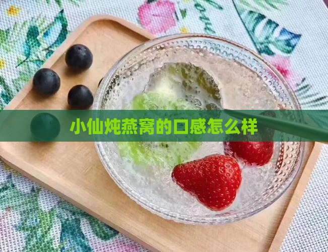小仙炖燕窝盘子怎么样