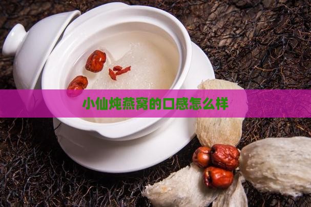 小仙炖燕窝盘子怎么样