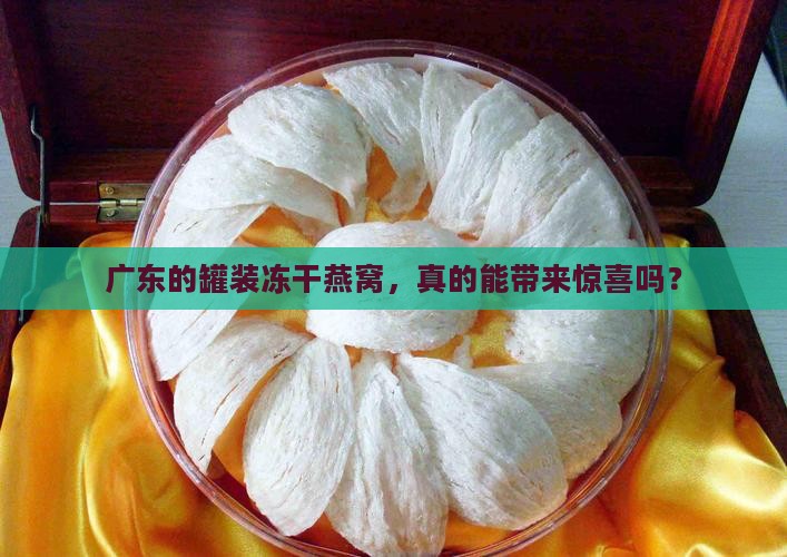 广东罐装冻干燕窝怎么样