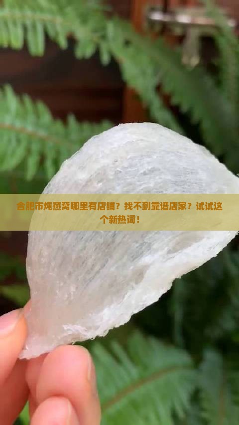 合肥市炖燕窝哪里有店铺