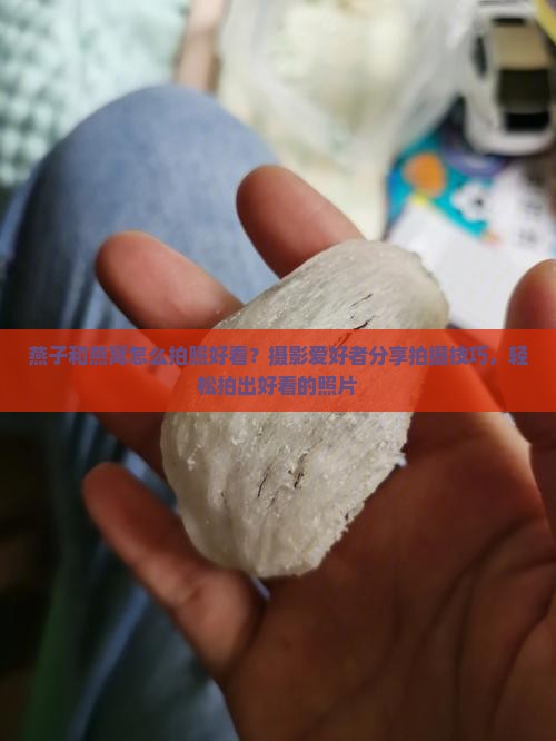 燕子和燕窝怎么拍照好看
