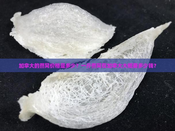 加拿大的燕窝多少钱一斤
