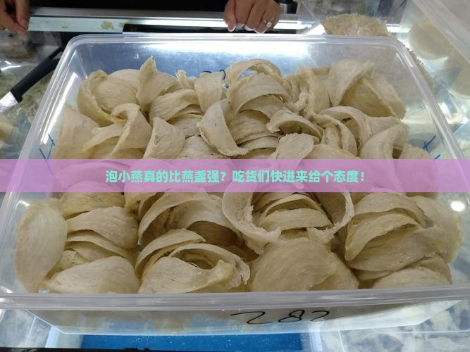 泡小燕燕窝和厘盏哪个好