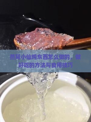 燕窝小仙炖东西怎么做的