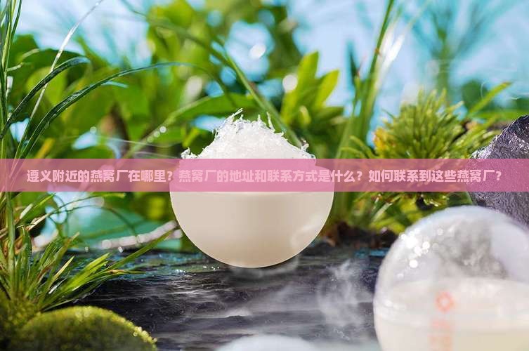 遵义附近的燕窝厂在哪里