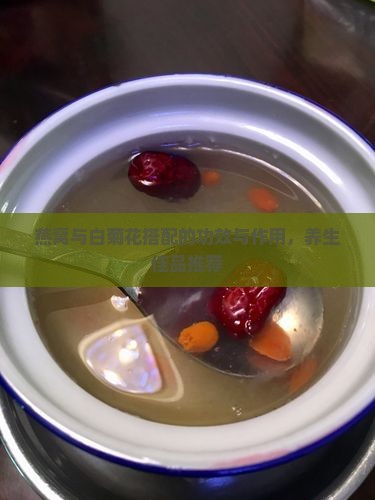 燕窝与白菊花搭配的功效与作用，养生佳品推荐