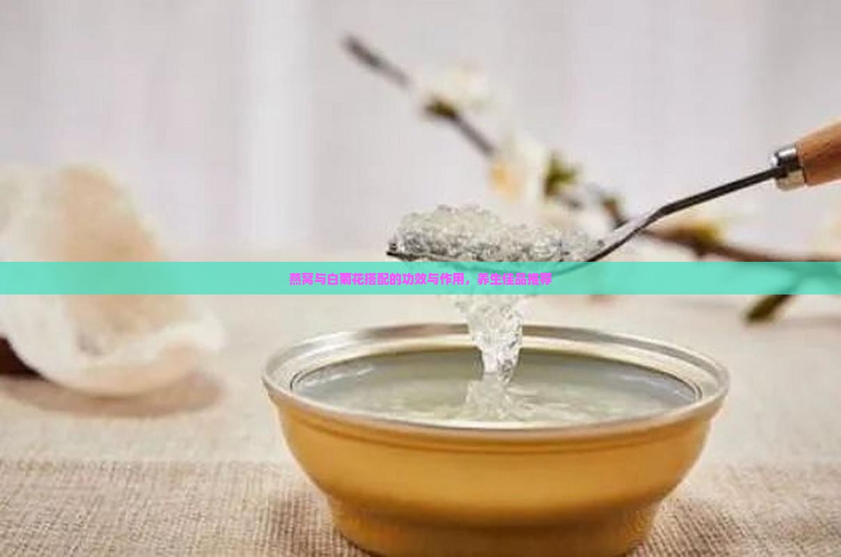 燕窝与白菊花搭配的功效与作用，养生佳品推荐
