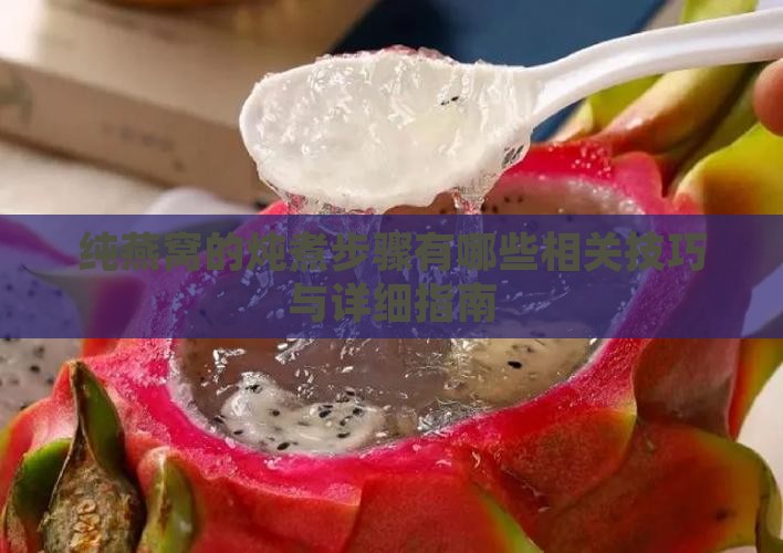 纯燕窝的炖煮步骤有哪些相关技巧与详细指南