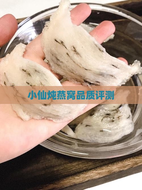 小仙炖燕窝品质评测