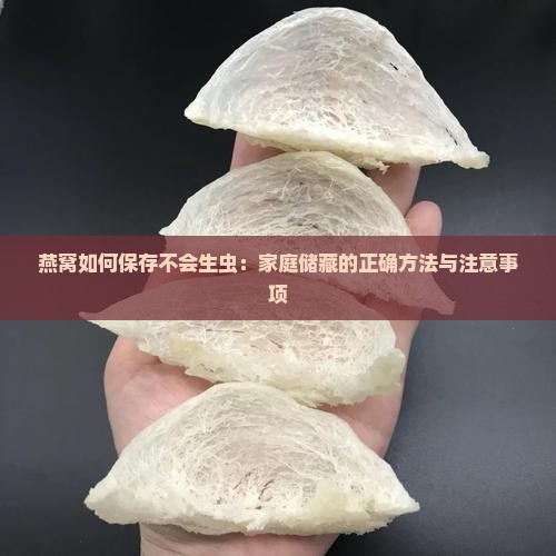 燕窝如何保存不会生虫：家庭储藏的正确方法与注意事项