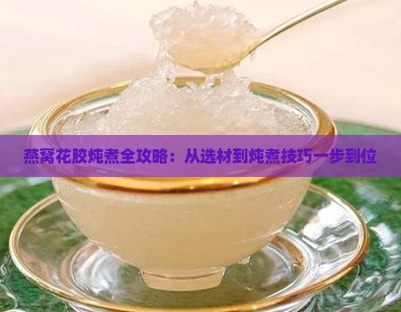 燕窝花胶炖煮全攻略：从选材到炖煮技巧一步到位
