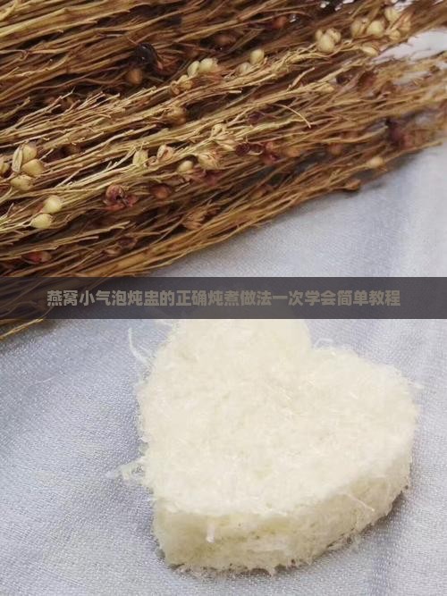 燕窝小气泡炖盅的正确炖煮做法一次学会简单教程
