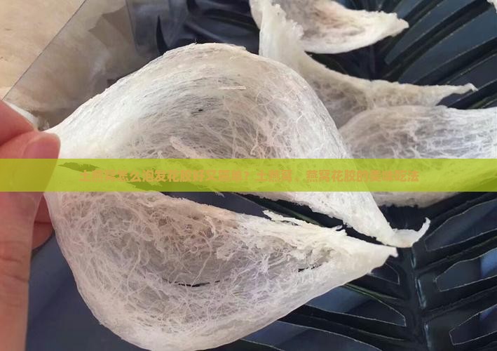 土燕窝怎么泡发花胶好又简单？土燕窝、燕窝花胶的美味吃法