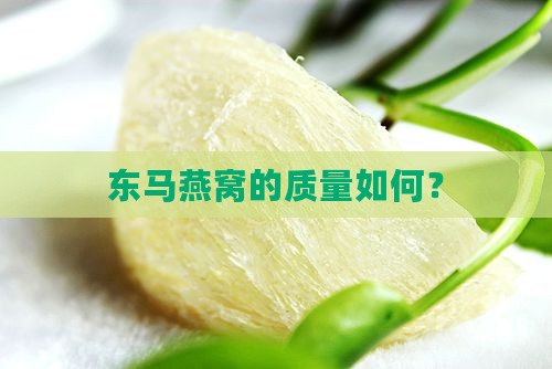 东马燕窝的质量如何？