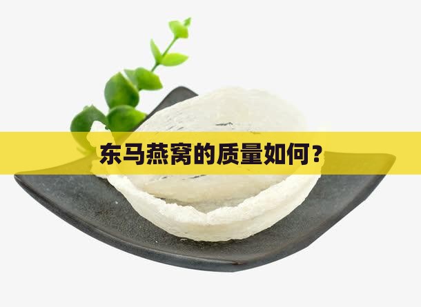 东马燕窝的质量如何？
