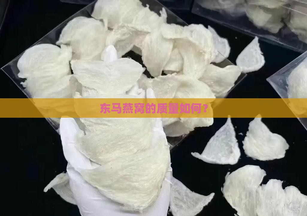 东马燕窝的质量如何？