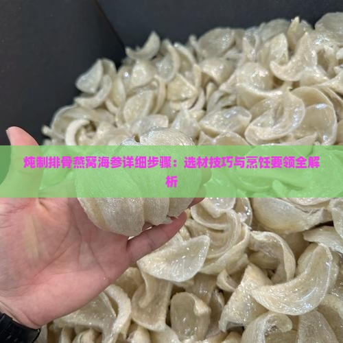 炖制排骨燕窝海参详细步骤：选材技巧与烹饪要领全解析