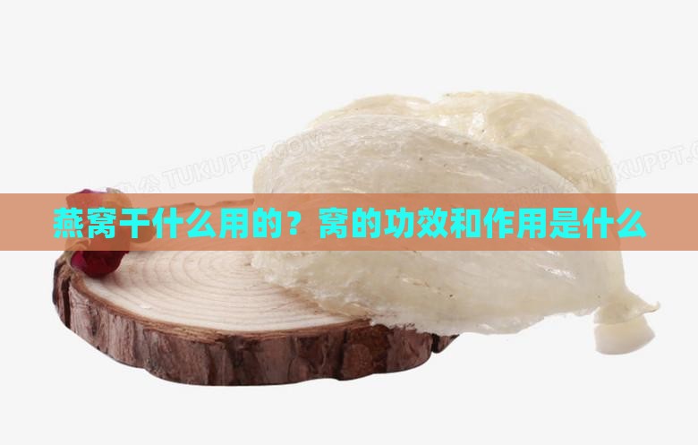 燕窝干什么用的？窝的功效和作用是什么